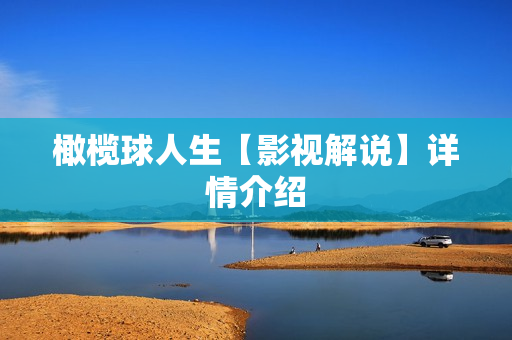 橄榄球人生【影视解说】详情介绍