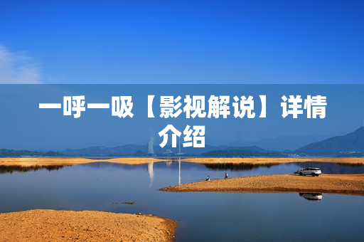 一呼一吸【影视解说】详情介绍