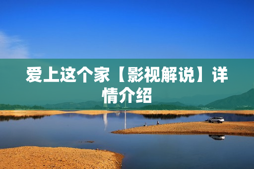爱上这个家【影视解说】详情介绍