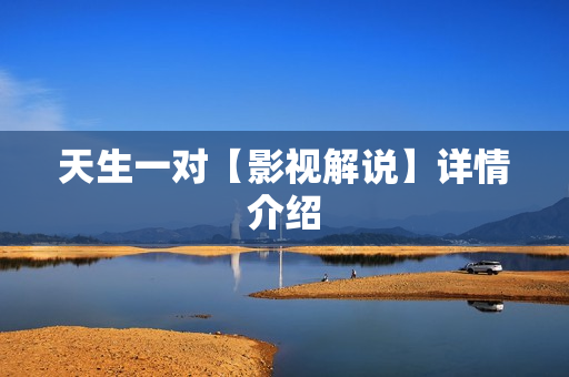天生一对【影视解说】详情介绍
