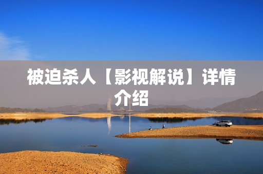 被迫杀人【影视解说】详情介绍