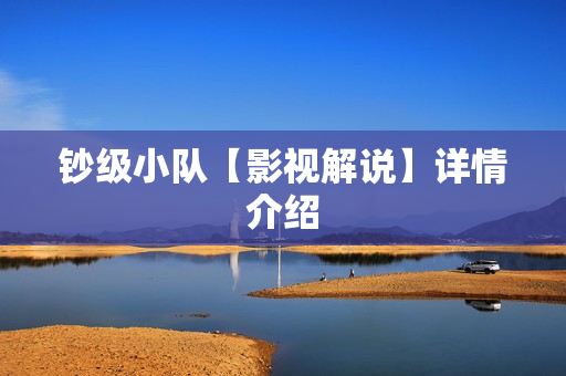 钞级小队【影视解说】详情介绍