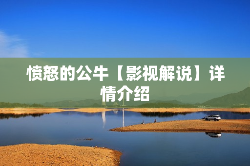 愤怒的公牛【影视解说】详情介绍