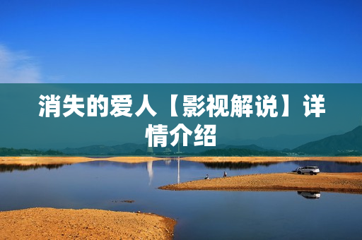 消失的爱人【影视解说】详情介绍