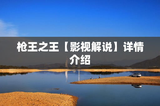 枪王之王【影视解说】详情介绍