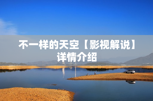 不一样的天空【影视解说】详情介绍