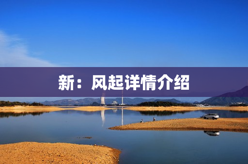 新：风起详情介绍