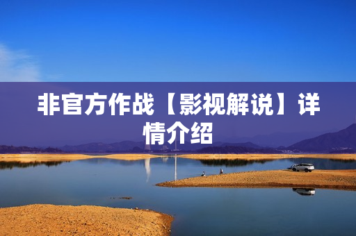 非官方作战【影视解说】详情介绍