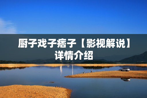 厨子戏子痞子【影视解说】详情介绍