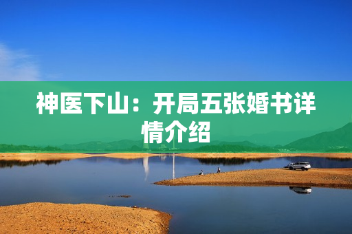 神医下山：开局五张婚书详情介绍
