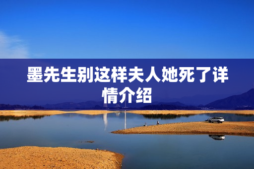 墨先生别这样夫人她死了详情介绍