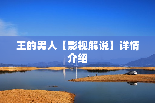 王的男人【影视解说】详情介绍