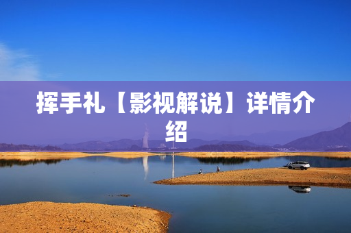 挥手礼【影视解说】详情介绍