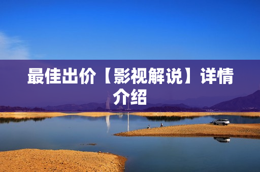 最佳出价【影视解说】详情介绍