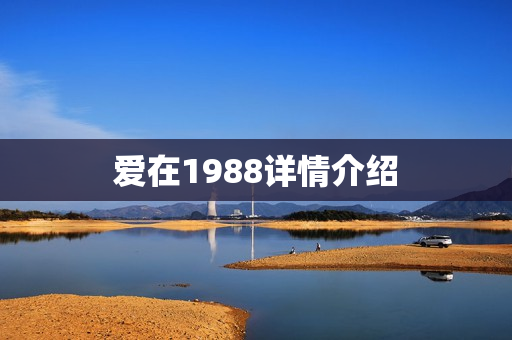 爱在1988详情介绍