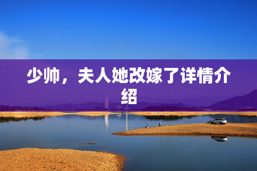 少帅，夫人她改嫁了详情介绍