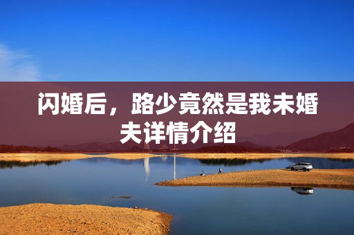 闪婚后，路少竟然是我未婚夫详情介绍