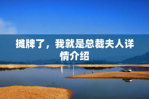 摊牌了，我就是总裁夫人详情介绍