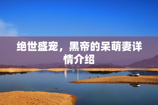 绝世盛宠，黑帝的呆萌妻详情介绍