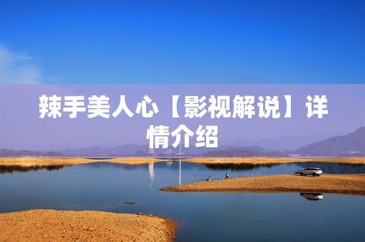 辣手美人心【影视解说】详情介绍