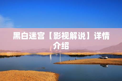 黑白迷宫【影视解说】详情介绍