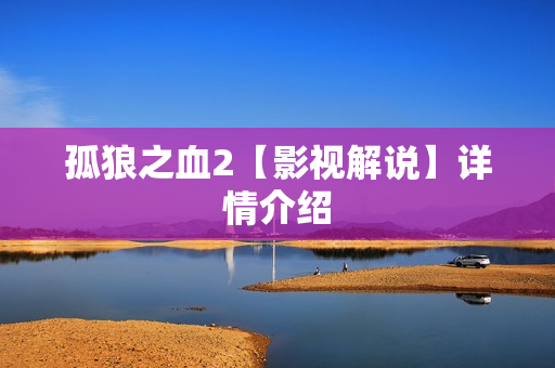 孤狼之血2【影视解说】详情介绍