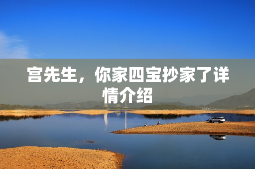 宫先生，你家四宝抄家了详情介绍