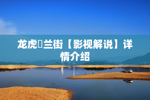 龙虎砵兰街【影视解说】详情介绍