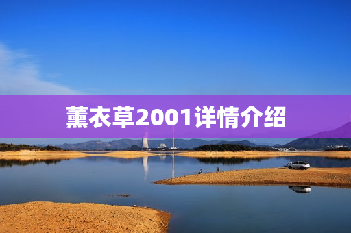 薰衣草2001详情介绍