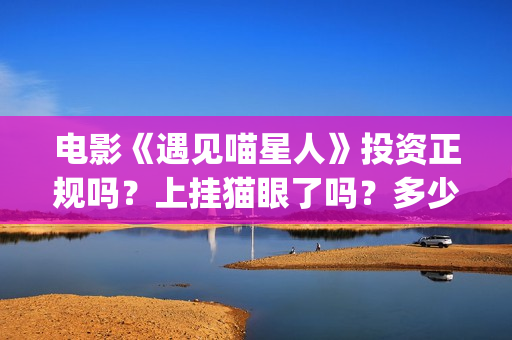 电影《遇见喵星人》投资正规吗？上挂猫眼了吗？多少金额起投？(《遇见喵星人》)