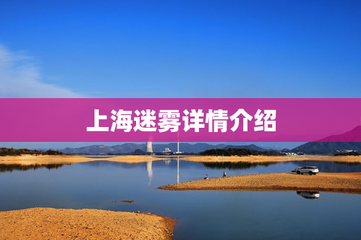 上海迷雾详情介绍