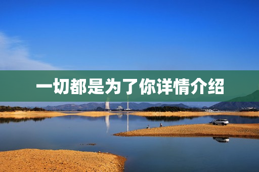 一切都是为了你详情介绍