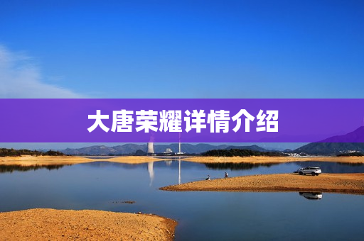 大唐荣耀详情介绍