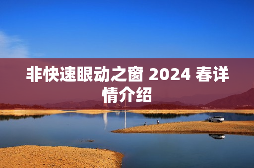 非快速眼动之窗 2024 春详情介绍