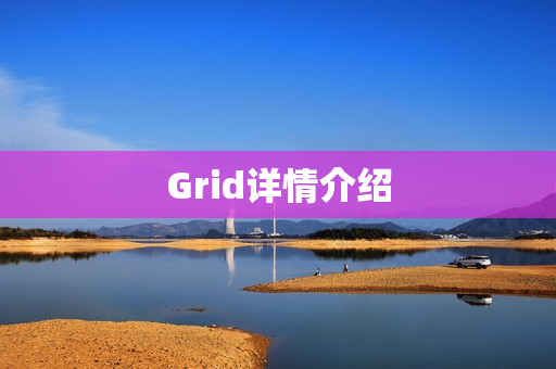 Grid详情介绍