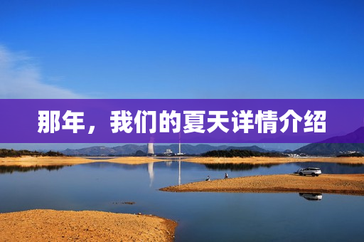 那年，我们的夏天详情介绍
