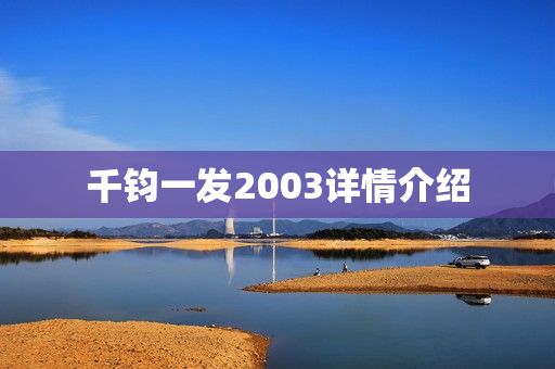 千钧一发2003详情介绍