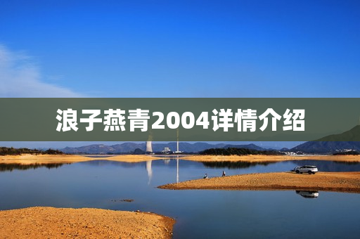 浪子燕青2004详情介绍