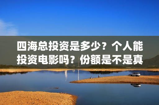 四海总投资是多少？个人能投资电影吗？份额是不是真实的？(四海集团创始人)