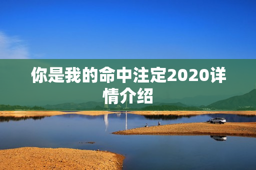 你是我的命中注定2020详情介绍