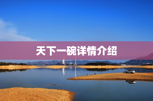 天下一碗详情介绍