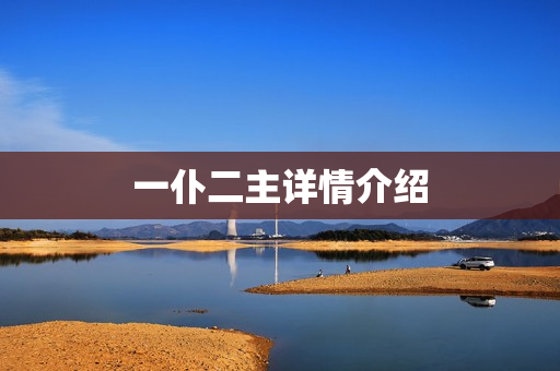 一仆二主详情介绍