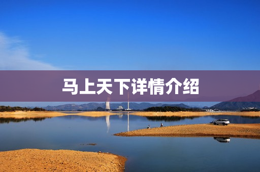 马上天下详情介绍