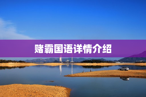 赌霸国语详情介绍