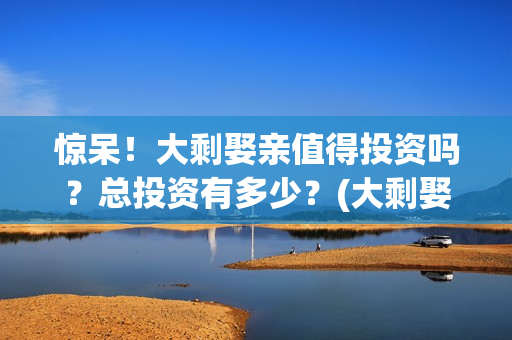 惊呆！大剩娶亲值得投资吗？总投资有多少？(大剩娶亲有哪个公司出品)