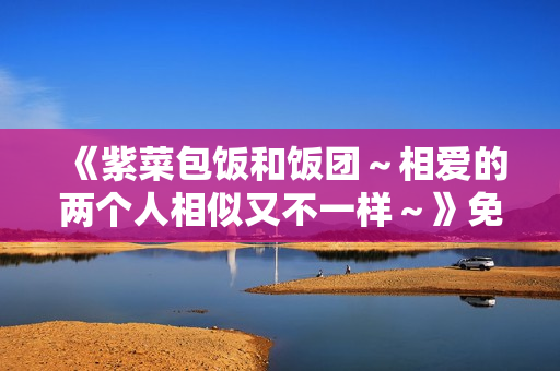 《紫菜包饭和饭团～相爱的两个人相似又不一样～》免费在线观看高清完整版