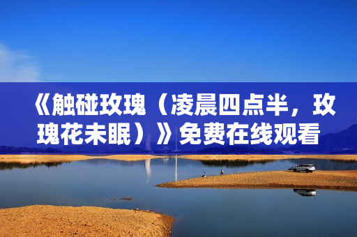 《触碰玫瑰（凌晨四点半，玫瑰花未眠）》免费在线观看高清完整版