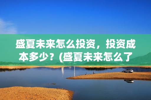 盛夏未来怎么投资，投资成本多少？(盛夏未来怎么了)