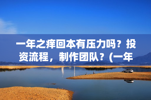 一年之痒回本有压力吗？投资流程，制作团队？(一年之痒2021)
