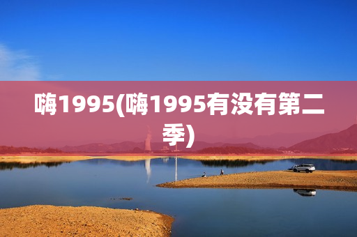 嗨1995(嗨1995有没有第二季)